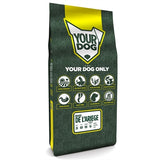 Yourdog Braque De L'ariege Senior