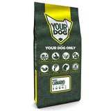 Yourdog Podenco Canario Senior 12 KG