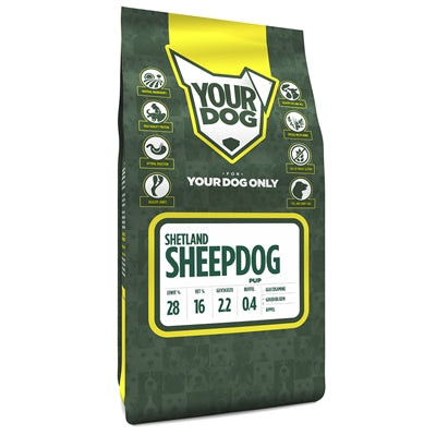 Yourdog Shetland Sheepdog Pup