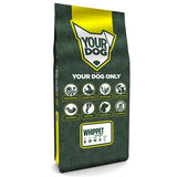 Yourdog Whippet Volwassen