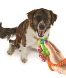 Brightkins Smarty Pooch Training Clicker Bone