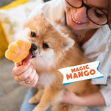 Smoofl Ijsmix Voor Honden Mango 160 GR