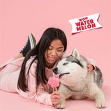 Smoofl Ijsmix Voor Honden Watermeloen 160 GR